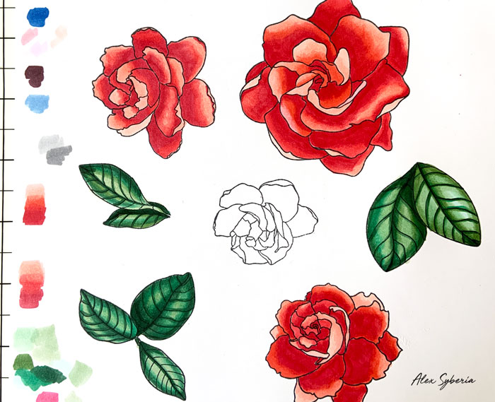 copic-coloring-alex-syberia-stamp-gardenias-maker-forte