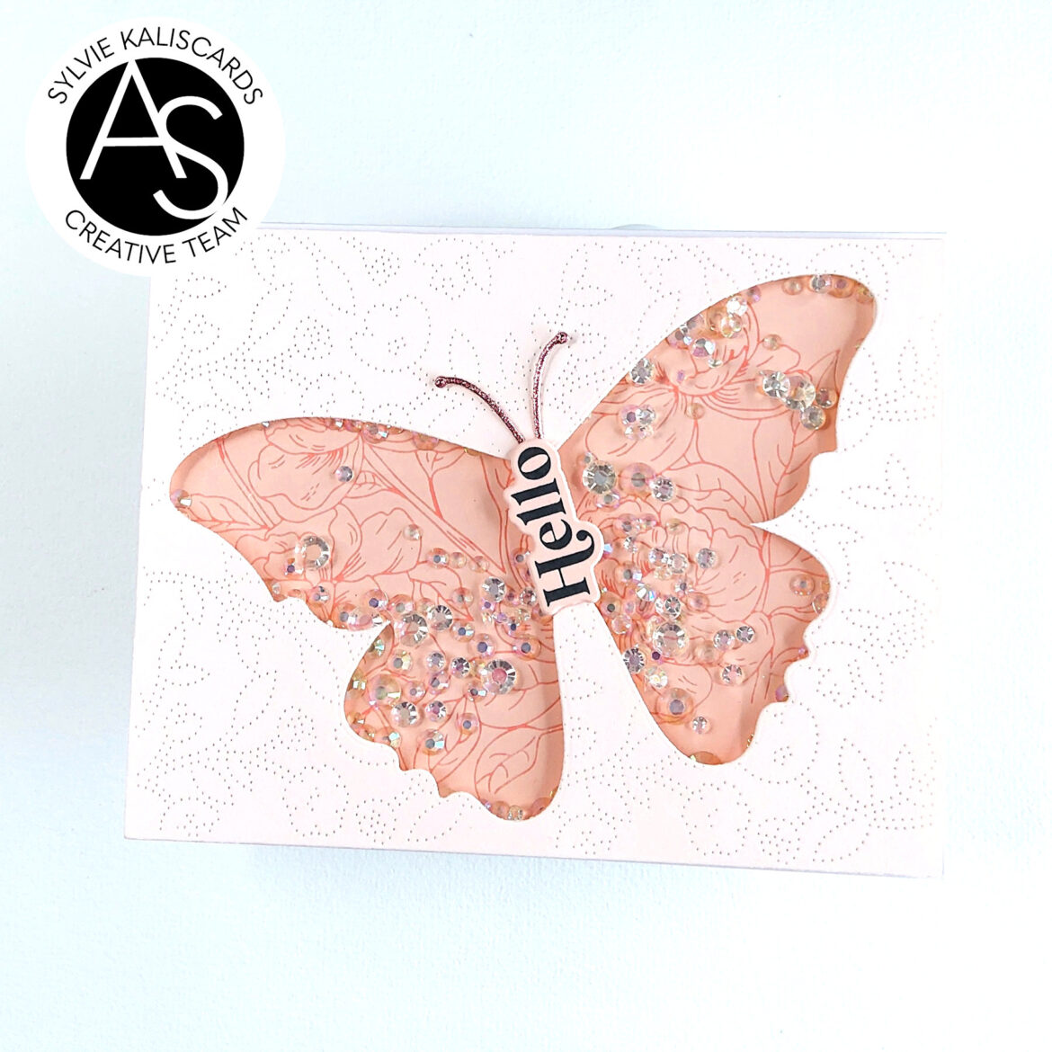 10Sep Butterfly_shaker11-01